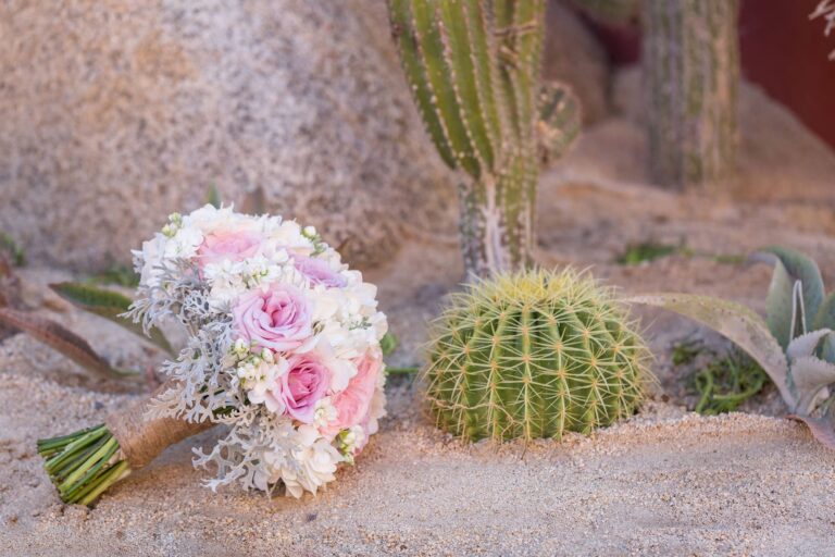 Adelina & Warren wedding in Los Cabos