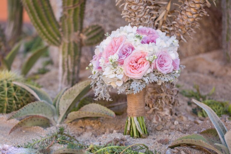 Adelina & Warren wedding in Los Cabos